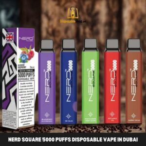 Nerd Square 5000 Puffs Disposable Vape In Dubai